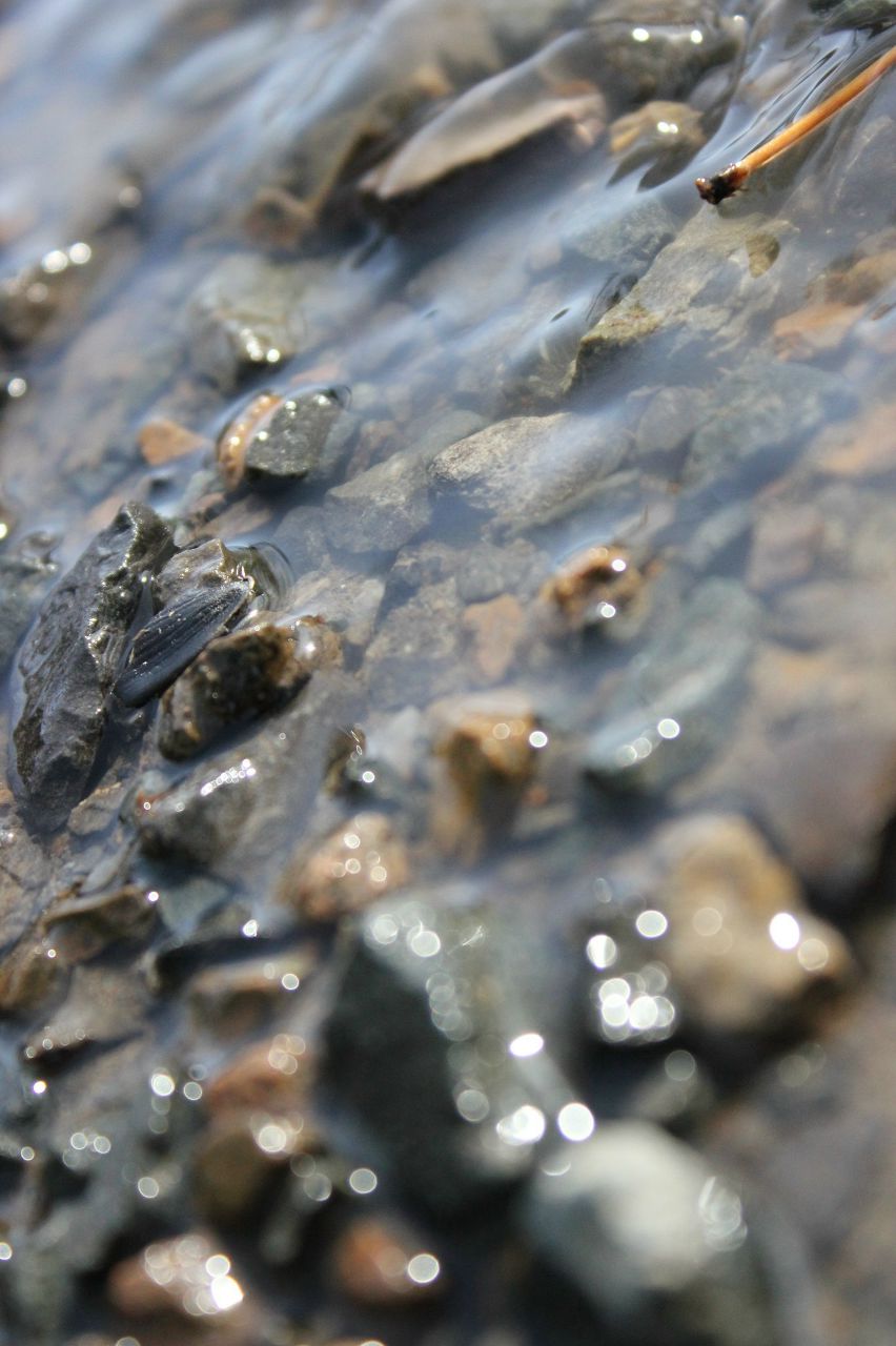 Роман Мезев | Новосибирск