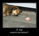 №3 Андрей Будаев : профиль, фото, статус - ВКонтакте