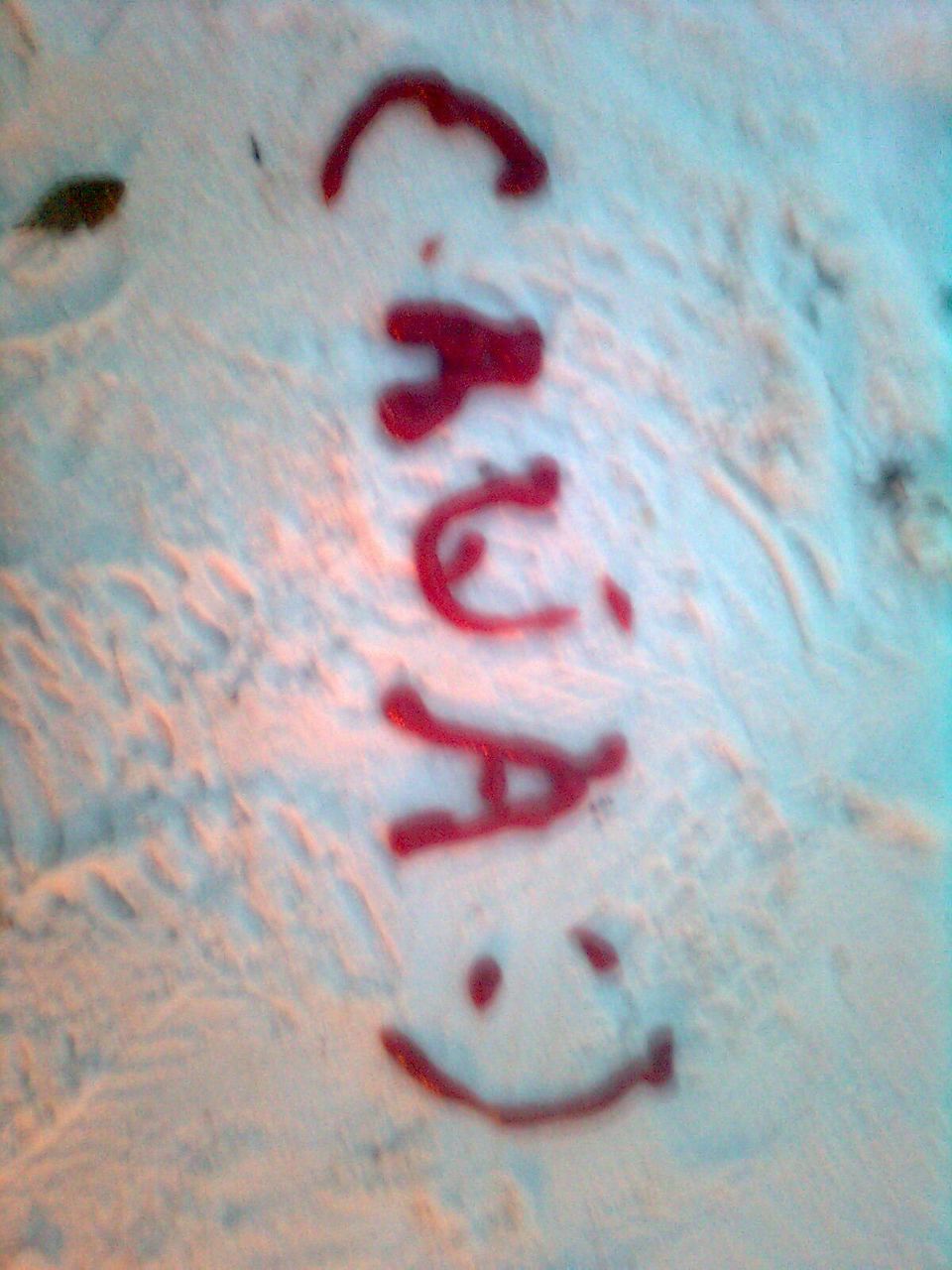 Александр Вдовин | Челябинск