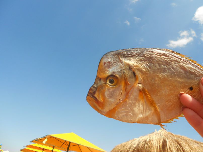 Елена Андреева | Калуга