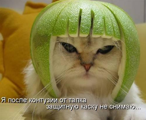 №82, Галина Карпова, Псков №82, Галина Карпова, Псков