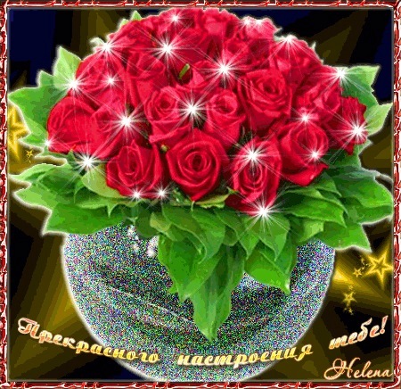 №16, Диана Бондаренко №16, Диана Бондаренко