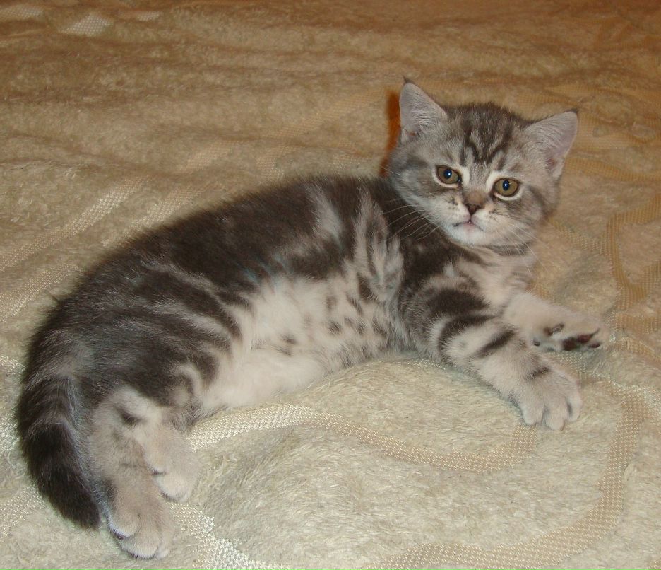 Юлия Сорокина | Москва