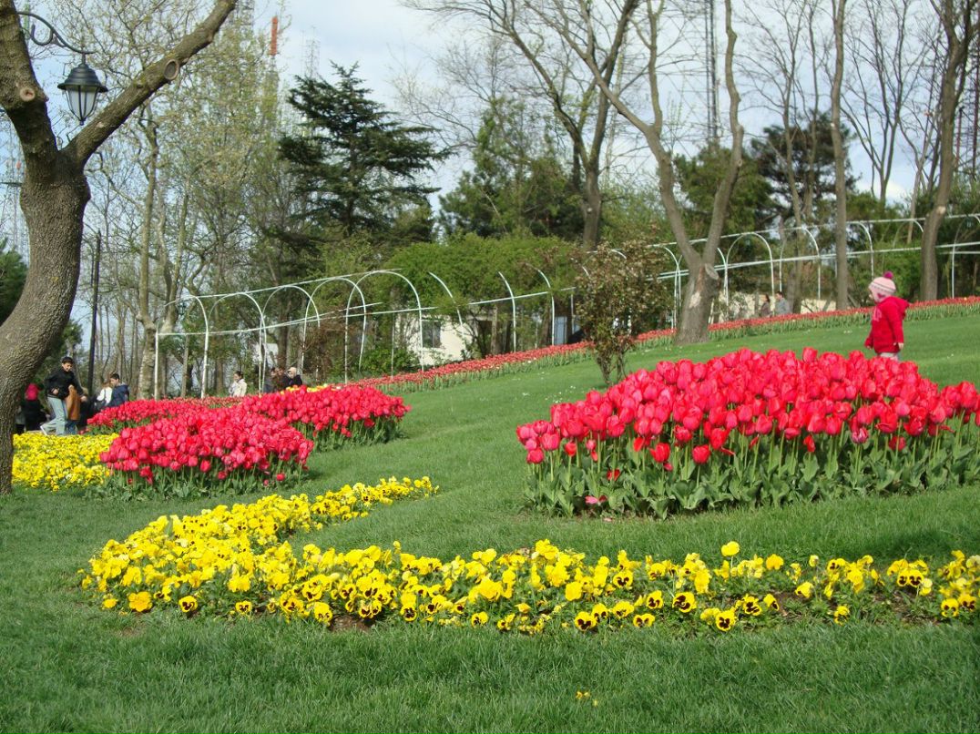 Вероника Королева Караарслан | İstanbul