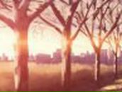 Ируся Борулько | Киев