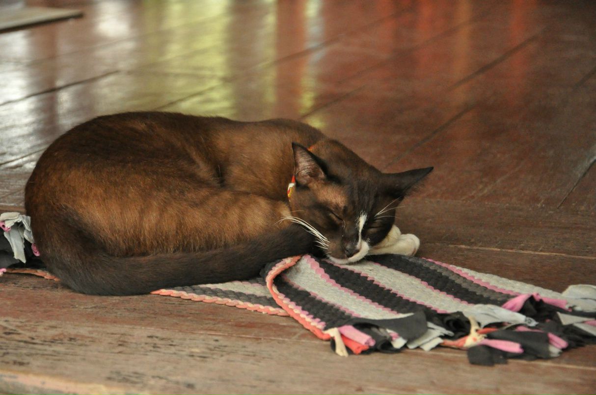 Анна Енина | Москва