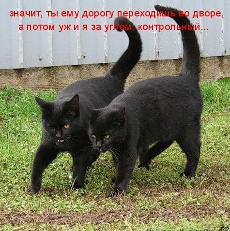 Алексей Байшев | Саранск