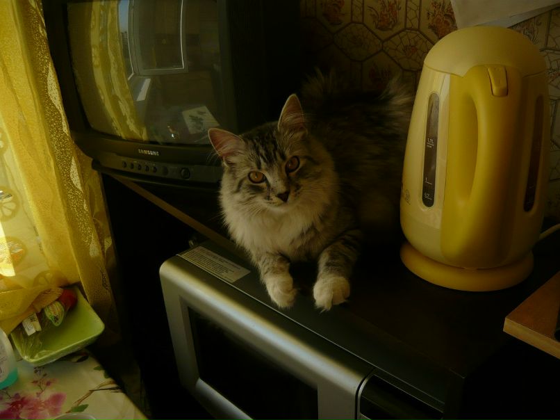 Любовь Белоцерковец | Санкт-Петербург