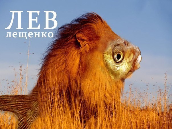 Афанасий Александров | Санкт-Петербург