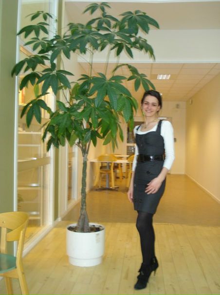 №147, Tatiana Lavrenko №147, Tatiana Lavrenko