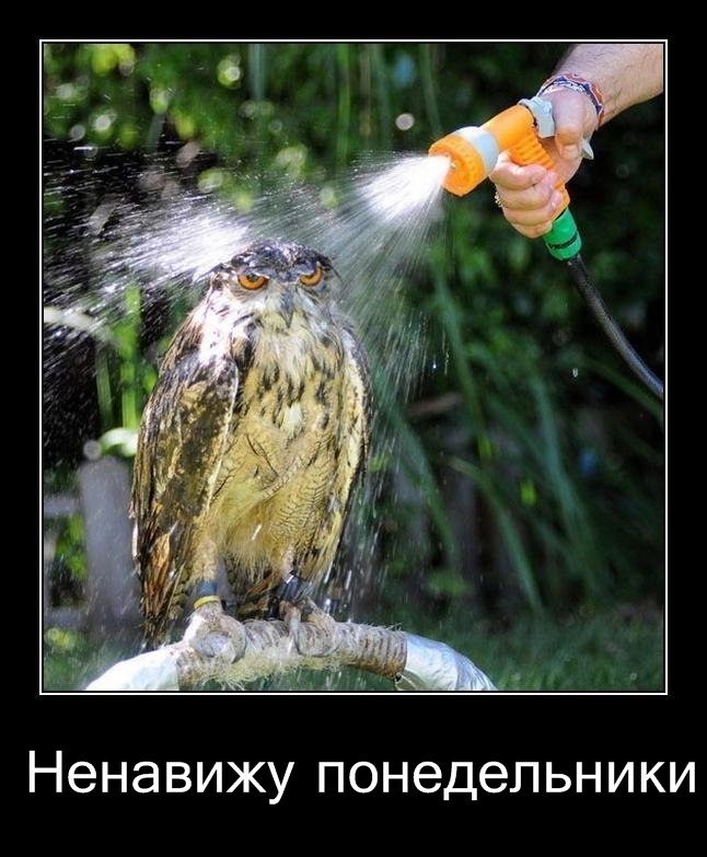 Ян Ахмедханов Олегович | Саяногорск