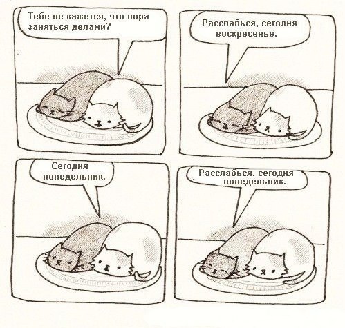 Николай Медведев | Уфа