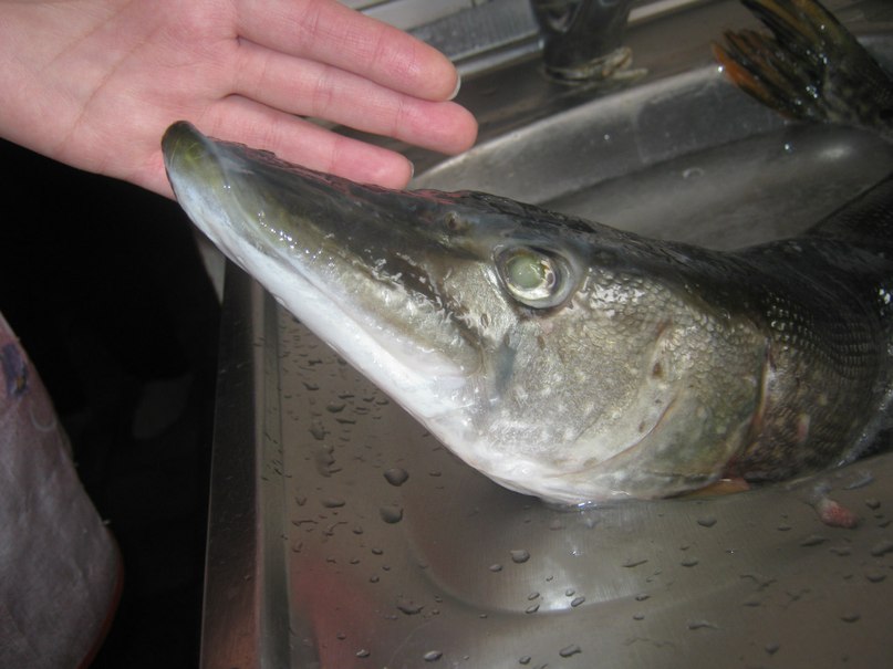 Сергей Назукин | Ульяновск