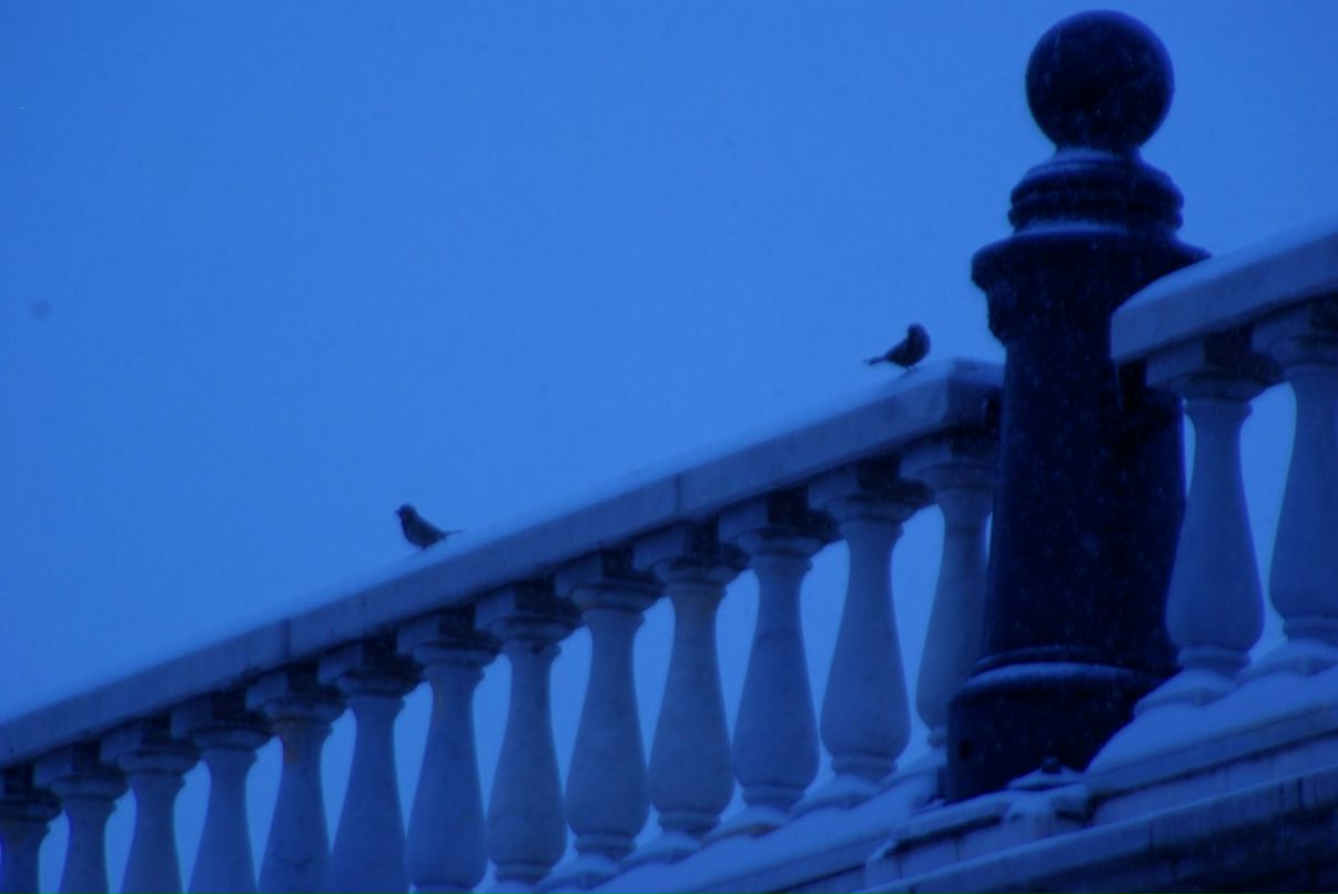 Наталья Токарева @@ Милена @@ | Москва