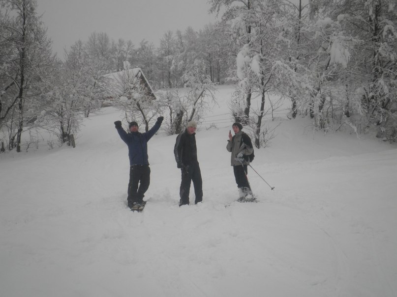 Міша Сойма | Дубовое
