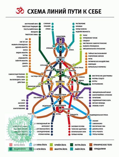 Александр Доброкотов | Москва