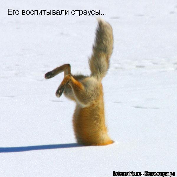 Дима Тынянов | Москва