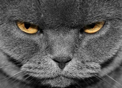 Виталий Иванов | Харьков