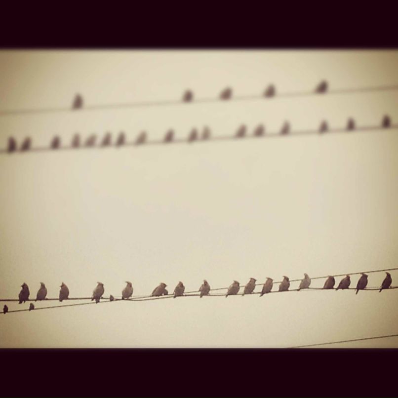 Andy Силаков | Санкт-Петербург