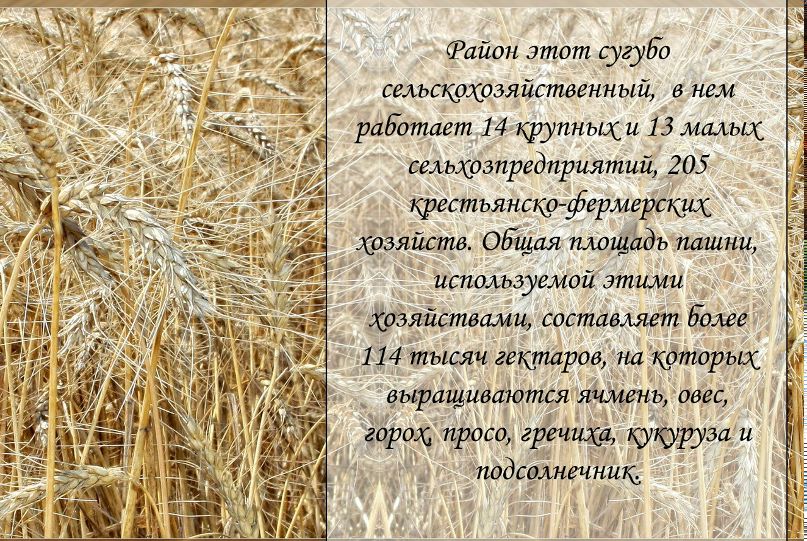 Клавдия Говаль | 