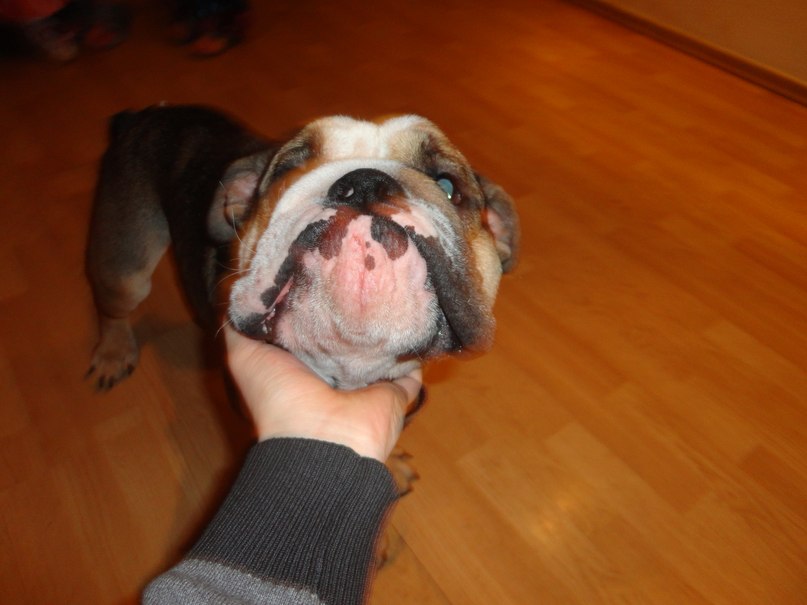 Anton Driftov | Челябинск