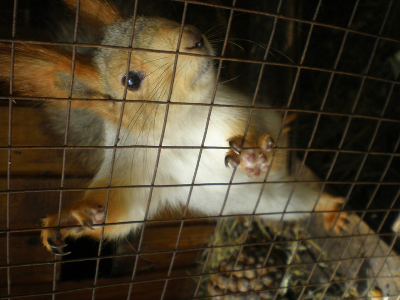 Vika Kasapova | Ялта