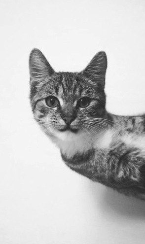 Ольчик Фомичёва ★ | Тула