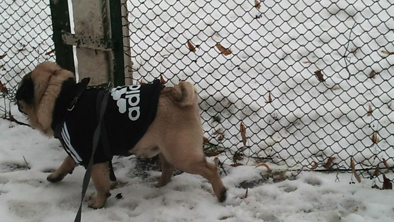 Наталия Лазарева | Киев