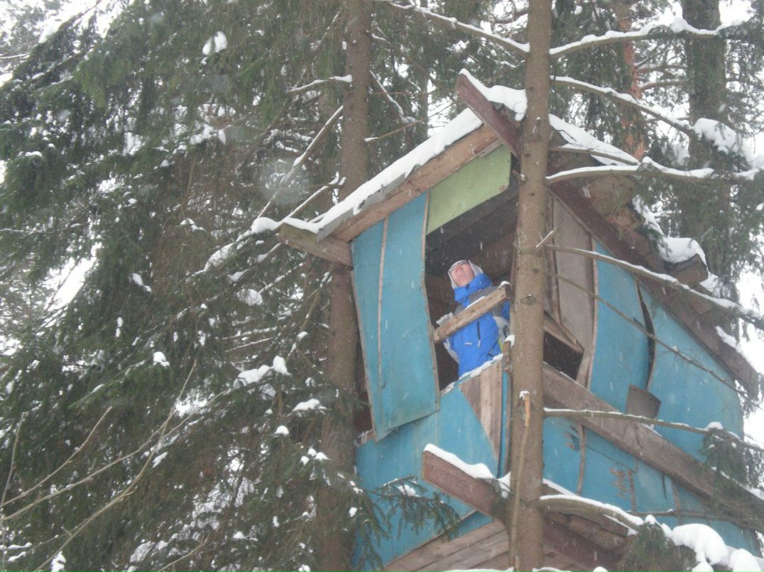 Светлана Дегтярева | Москва