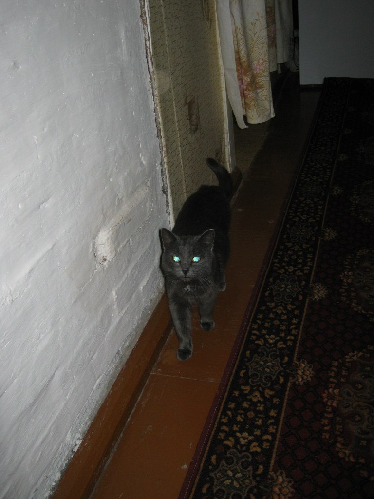 Лена Рябинина | Богородск