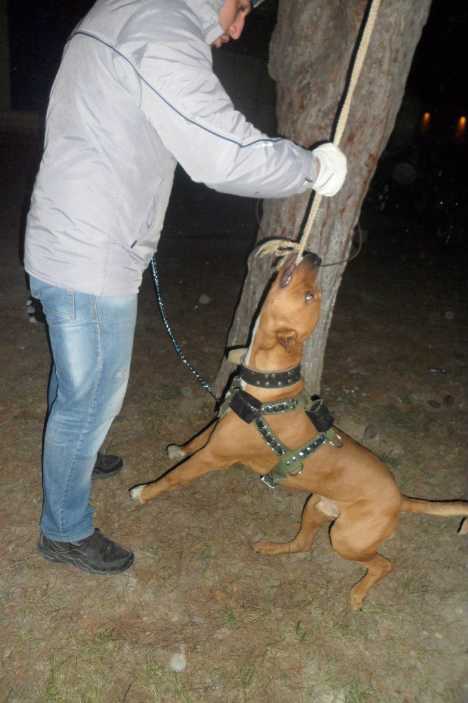 Бахтьияр Ширинов | Баку