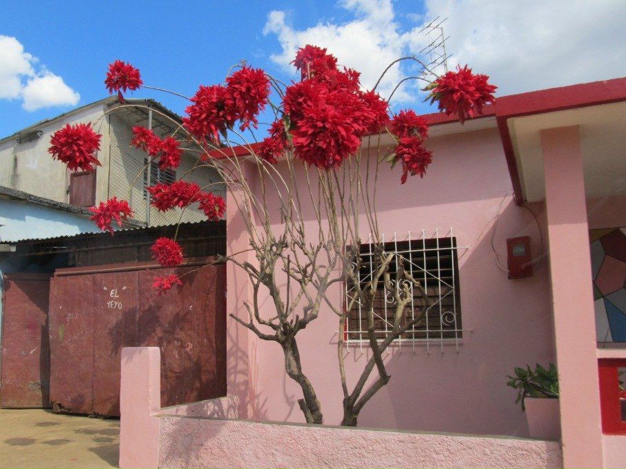 Гульмира Пушкарёва | Алматы