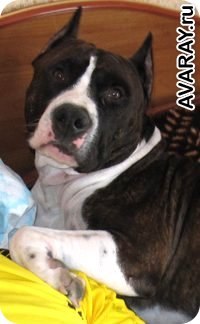 Анна Орлова | Красноярск