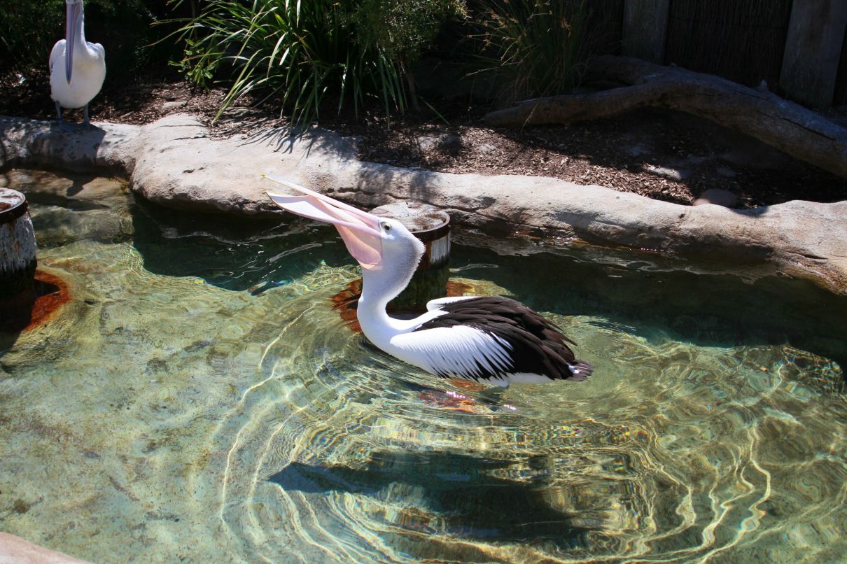 Григорий Балеевский | Москва (деревня)