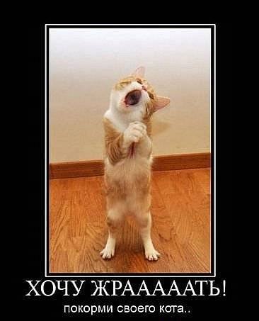 Тарас Мальков-Мухаметдинов Ирикович | Тюмень