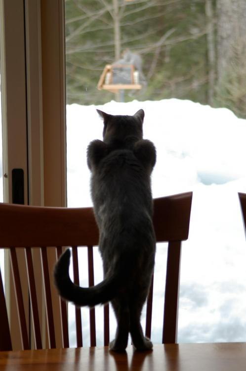 Александра Беляева Валерьевна | Лесосибирск