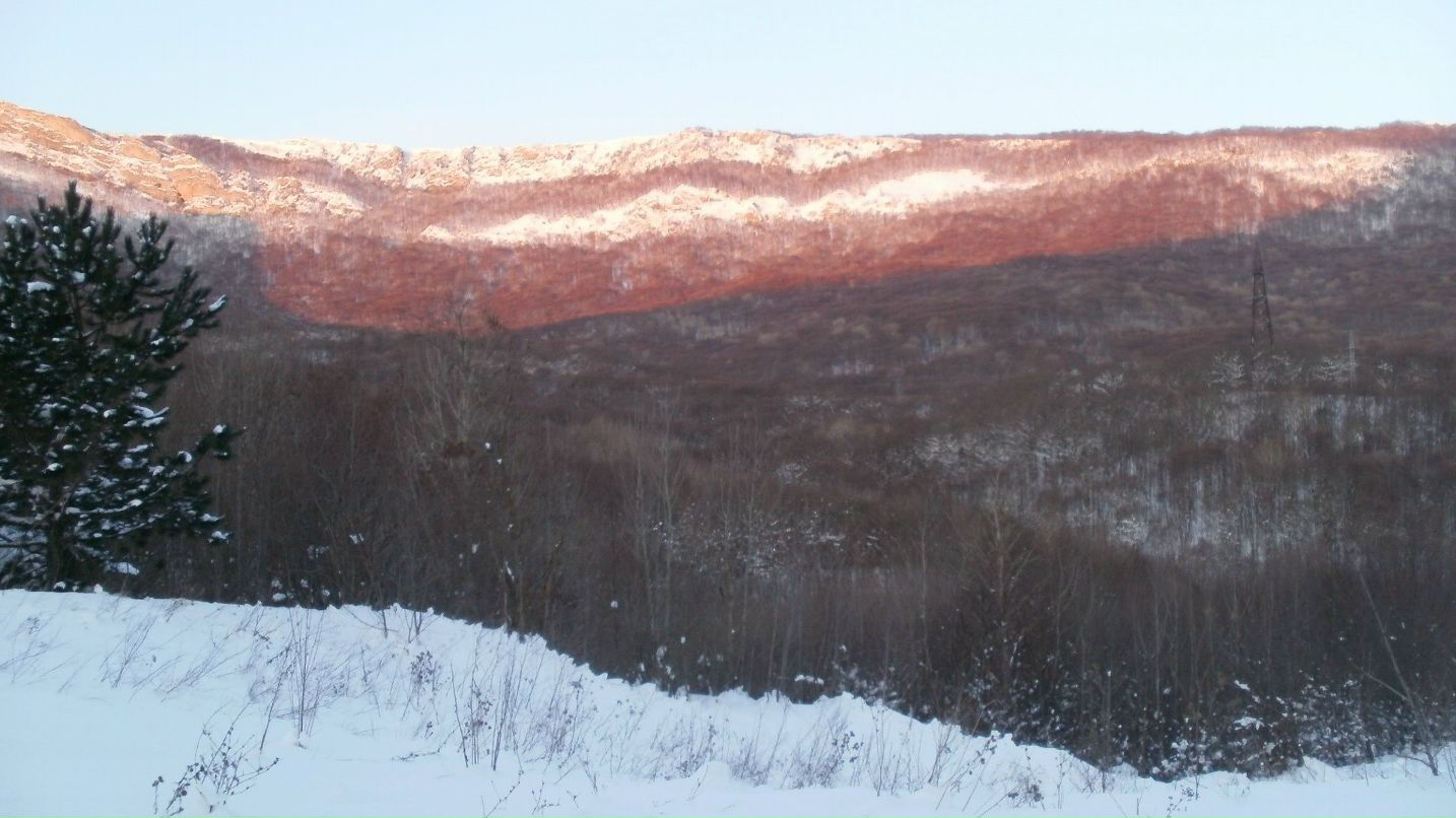 Денис Сребняк | Харьков