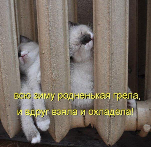 Анна Исанбаева | Нижневартовск