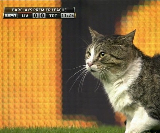 Артем Леушин | Севастополь