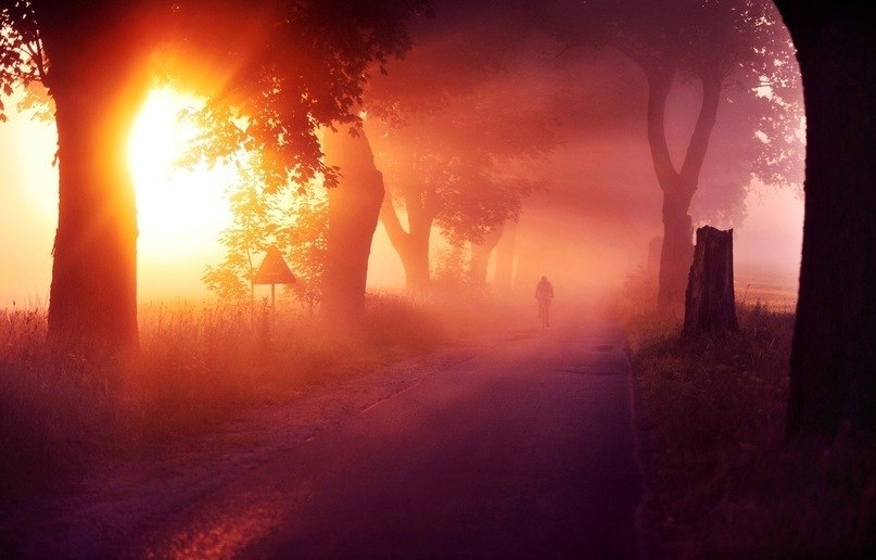 Алексей Птуха | Санкт-Петербург