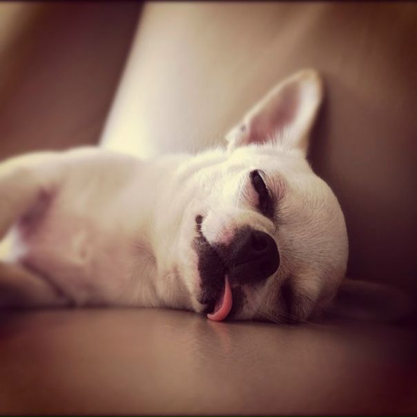 №123, Лена Торопова, 35 лет, Киев №123, Лена Торопова, 35 лет, Киев