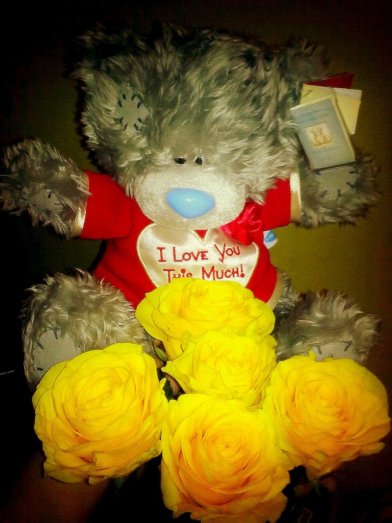 Yevgeniia Shevchenko | Харьков