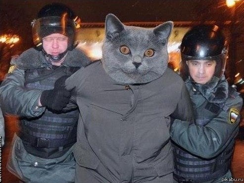 Евгений Дидечко Валерьевич | Краснодар