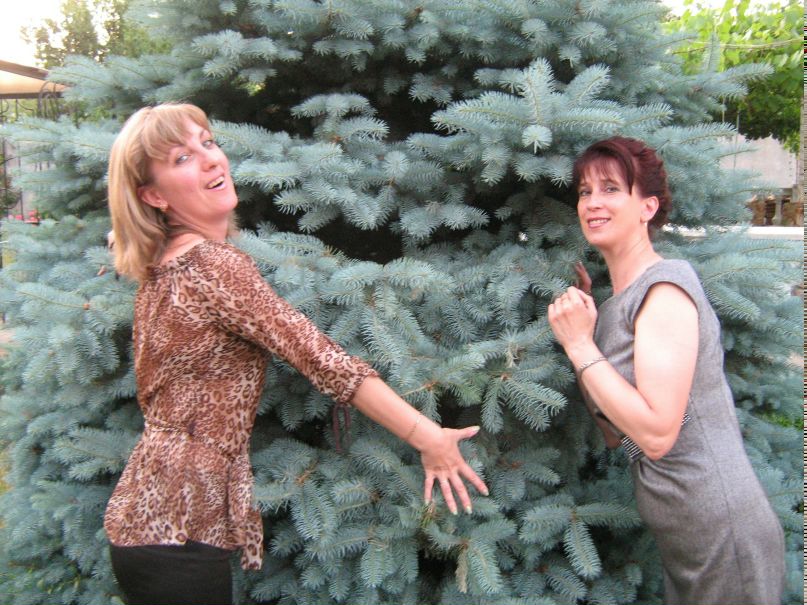 Лейла Султан | Кропивницкий / Кировоград