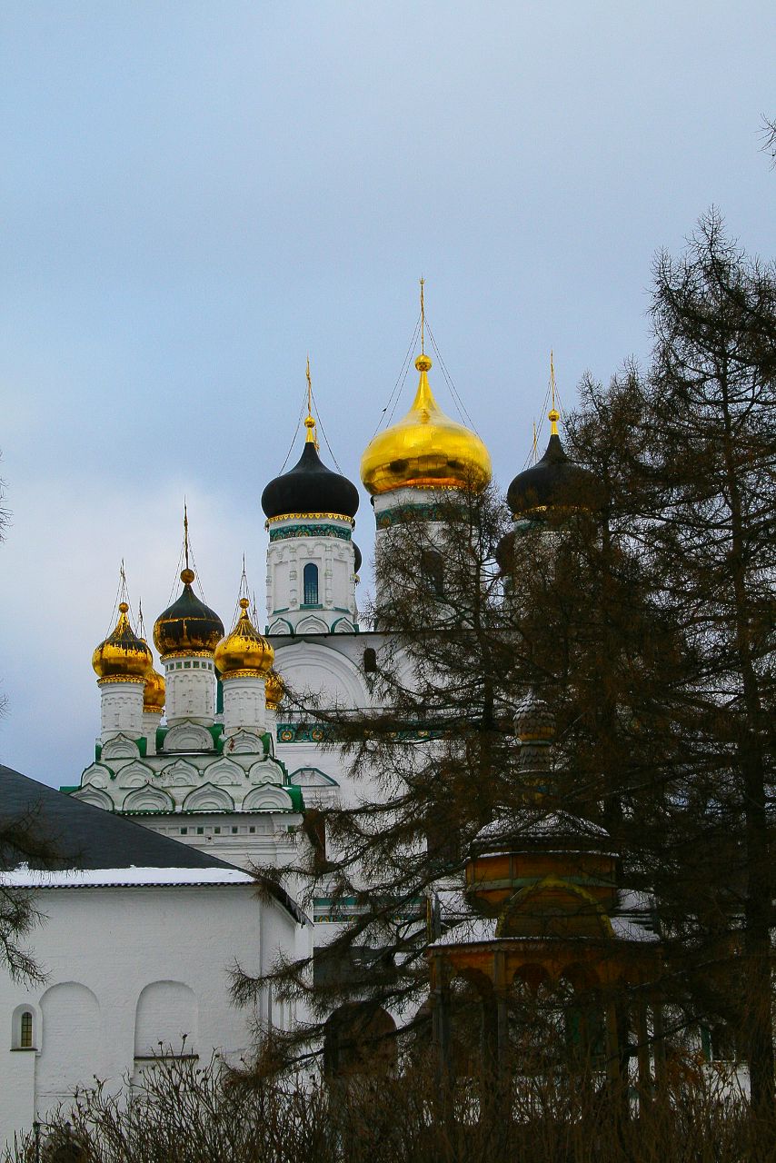 Антон Герасимов | Солнечногорск