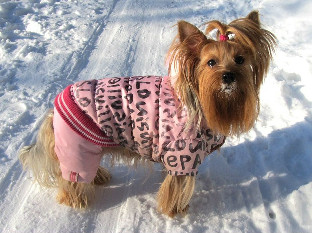 Костя Щербинский | Минск