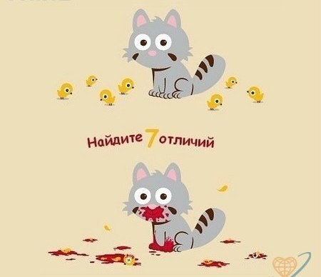 Людмила Радич | Новосибирск