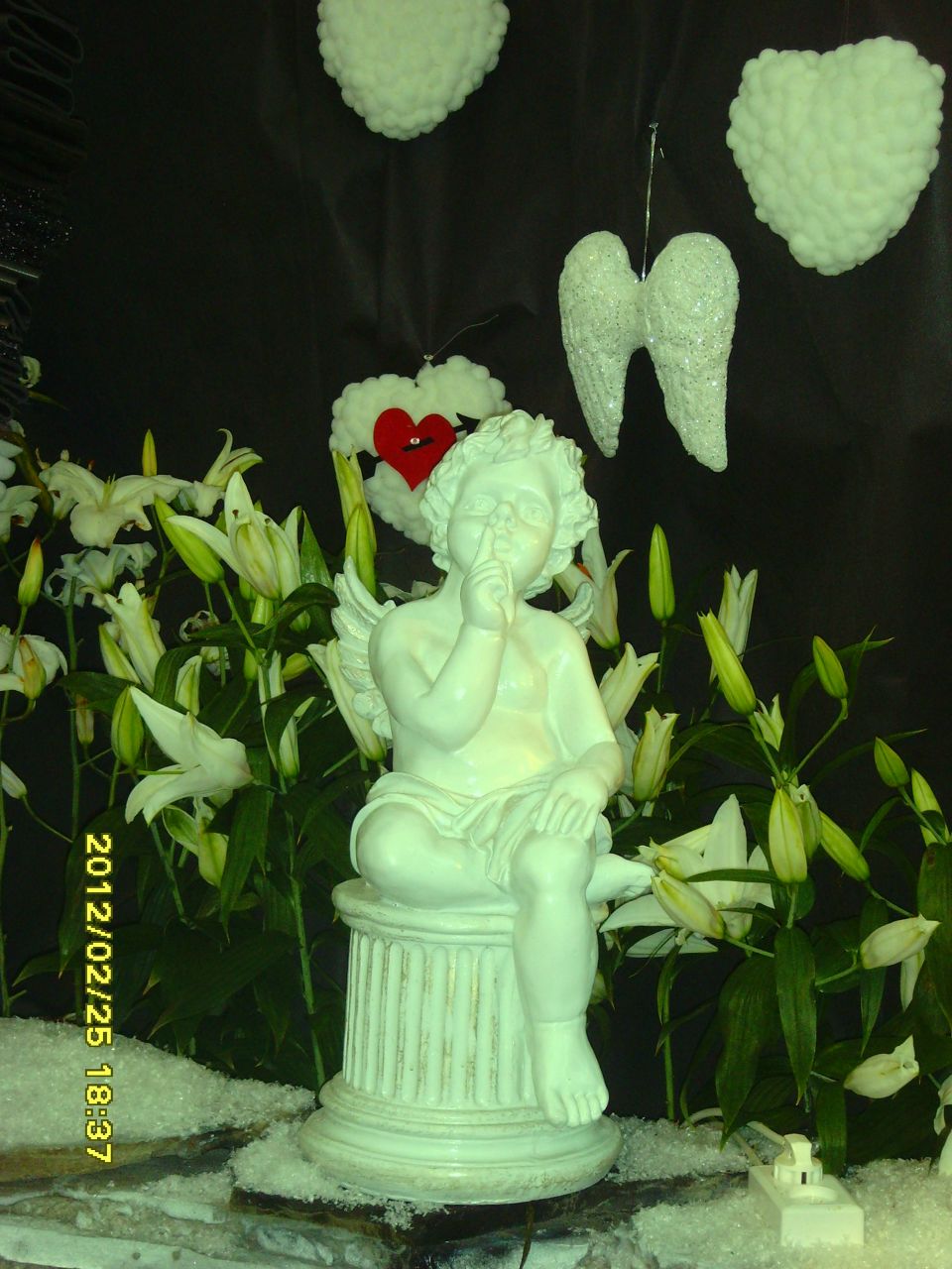 Алиса Кушпелева | Ижевск