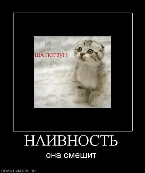 №19, Александр Мойсеенко, 37 лет, Санкт-Петербург №19, Александр Мойсеенко, 37 лет, Санкт-Петербург