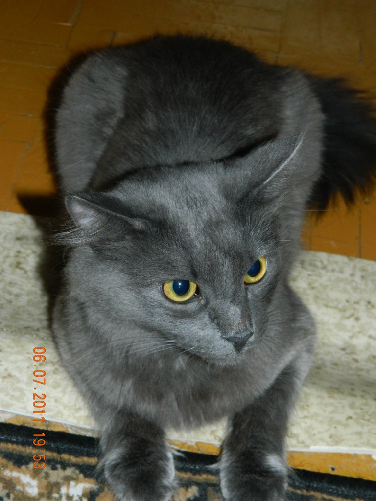 Евгений Мельниченко W | Челябинск